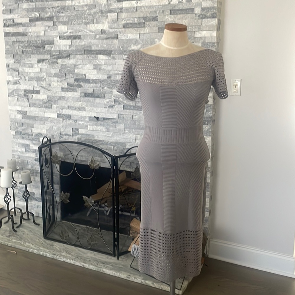 Joana Baraschi gray dress